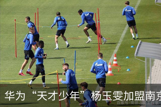 华为“天才少年”杨玉雯加盟南京大学